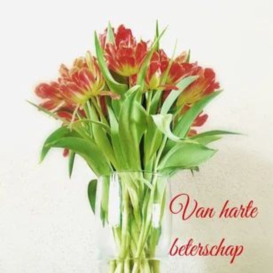 Beterschapskaarten | Kaarten Kaartje2go Beterschapskaart Vaas Tulp - Lb