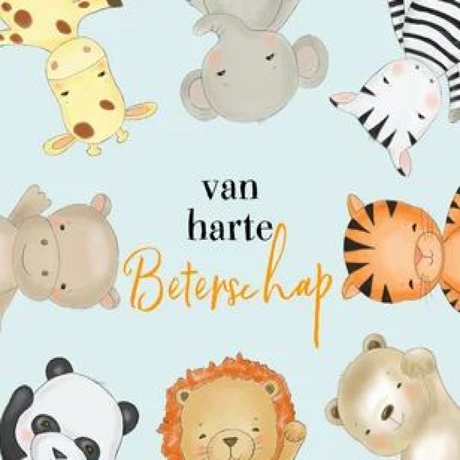 Beterschapskaarten | Kaarten Kaartje2go Beterschapskaart Kind Met Safari Dieren