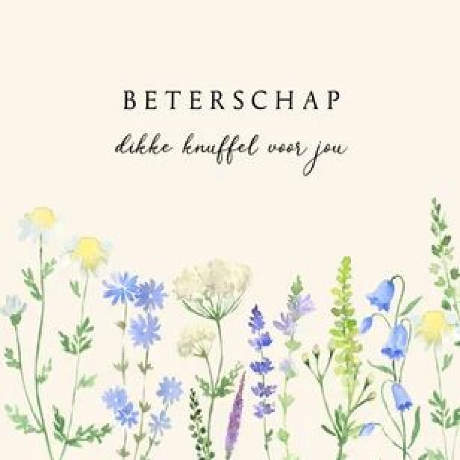 Beterschapskaarten | Kaarten Kaartje2go Beterschapskaart Veldbloemen