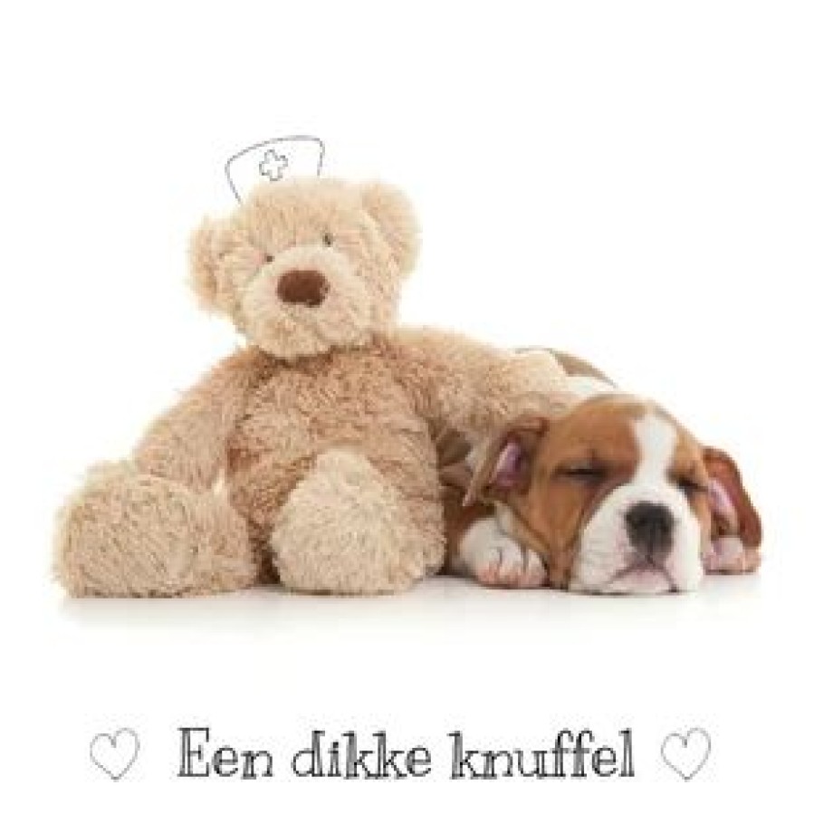 Beterschapskaarten | Kaarten Kaartje2go Beterschap - Puppy Met Knuffel