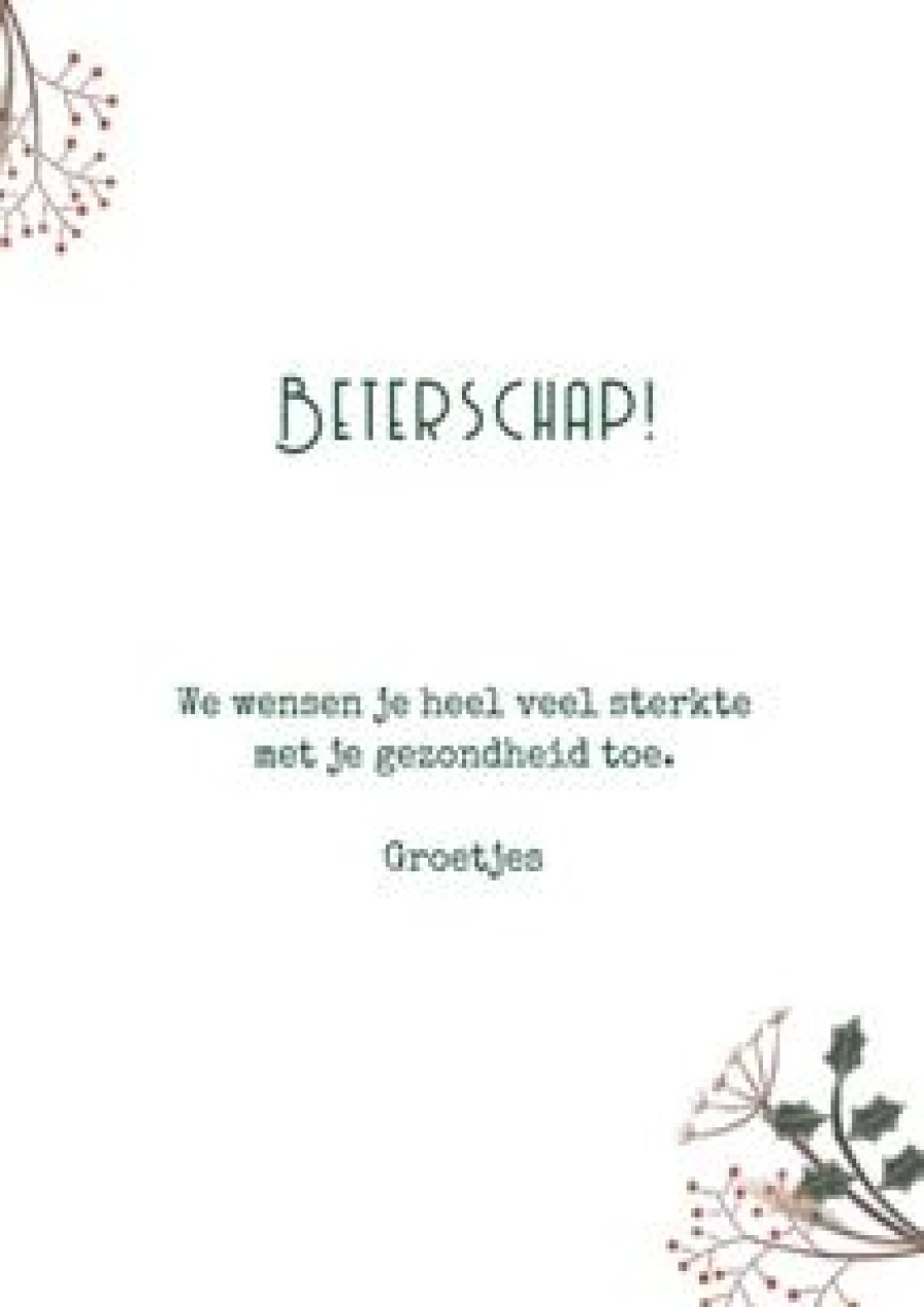 Beterschapskaarten | Kaarten Kaartje2go Beterschapskaart Met Bijbeltekst En Droogbloemen