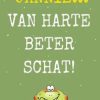 Beterschapskaarten | Kaarten Kaartje2go Opkikkertje Van Harte Beter Schat Met Binnen Vaas Bloemen