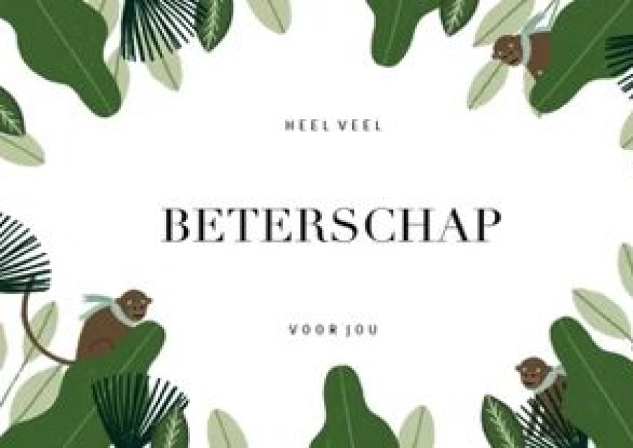 Beterschapskaarten | Kaarten Kaartje2go Beterschapskaart Met Jungle Bladeren En Aapjes