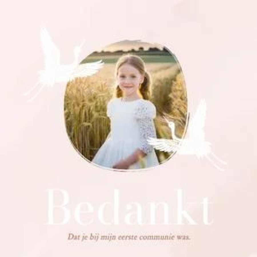 Communiekaarten | Kaarten Kaartje2go Communie Bedankkaartje In Roze Textuur Met Goudfolie Vogels