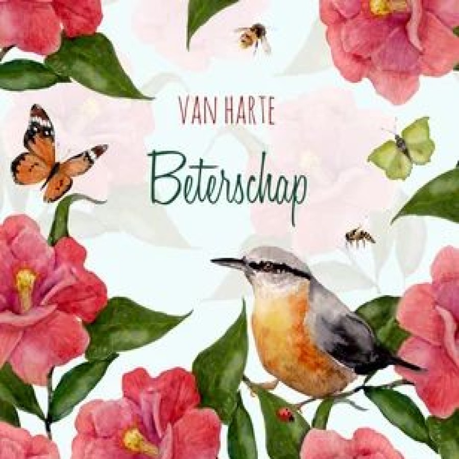 Beterschapskaarten | Kaarten Kaartje2go Beterschapskaart Vogel Tussen Fleurige Bloemen