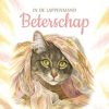 Beterschapskaarten | Kaarten Kaartje2go Beterschapskaart Kat In De Lappenmand