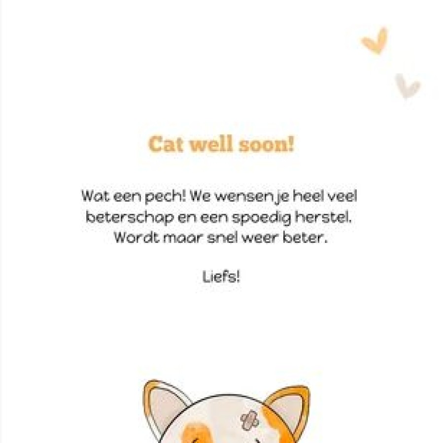 Beterschapskaarten | Kaarten Kaartje2go Een Beterschapskaart Voor Een Kattenliefhebber