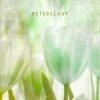 Beterschapskaarten | Kaarten Kaartje2go Beterschapskaart Tulpen Mint Groen