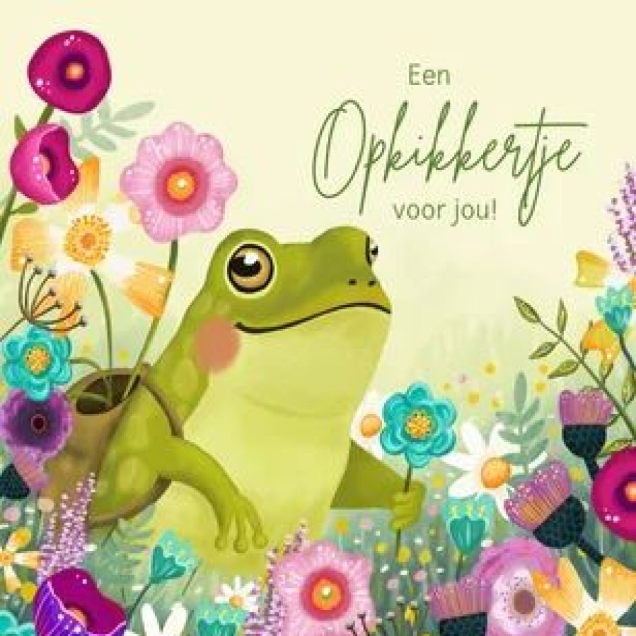 Beterschapskaarten | Kaarten Kaartje2go Beterschapskaart Opkikkertje Kikker Met Bloemen