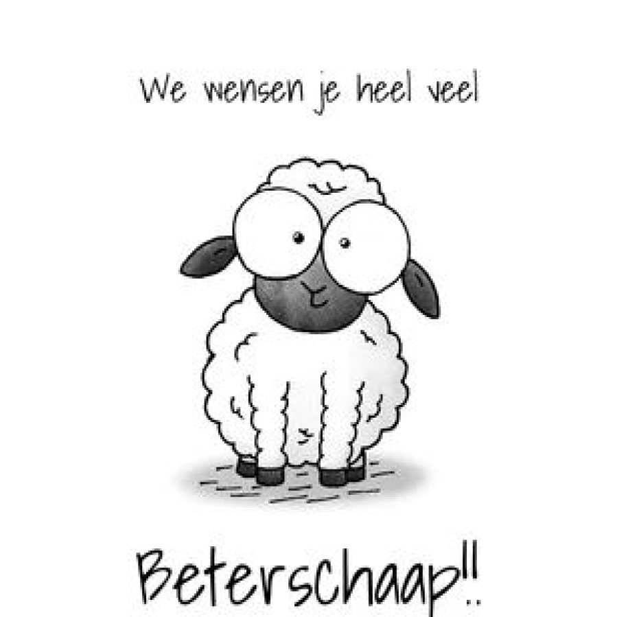 Beterschapskaarten | Kaarten Kaartje2go Beterschapskaart Lammetje - Heel Veel Beterschaap!