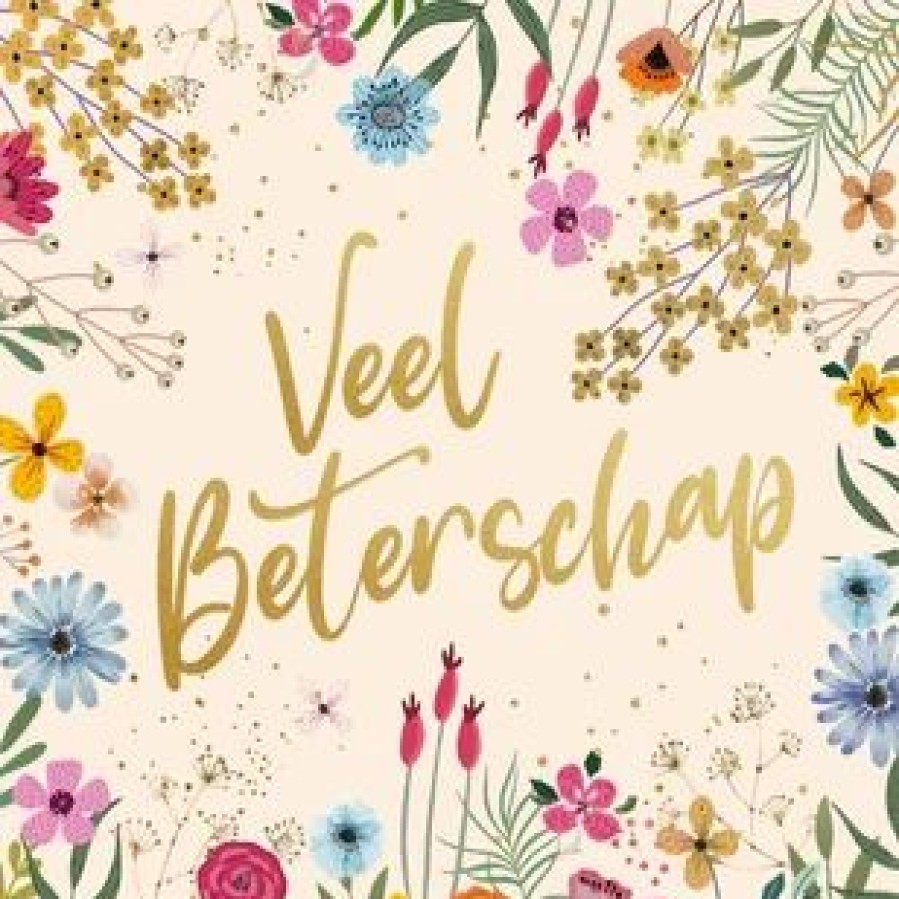 Beterschapskaarten | Kaarten Kaartje2go Beterschap Bloemen En Takjes