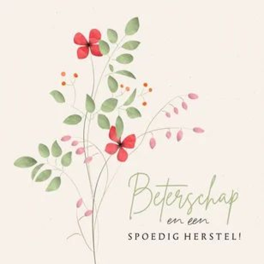 Beterschapskaarten | Kaarten Kaartje2go Beterschapskaart Stijlvol Wilde Bloemen Aquarel Kraftlook