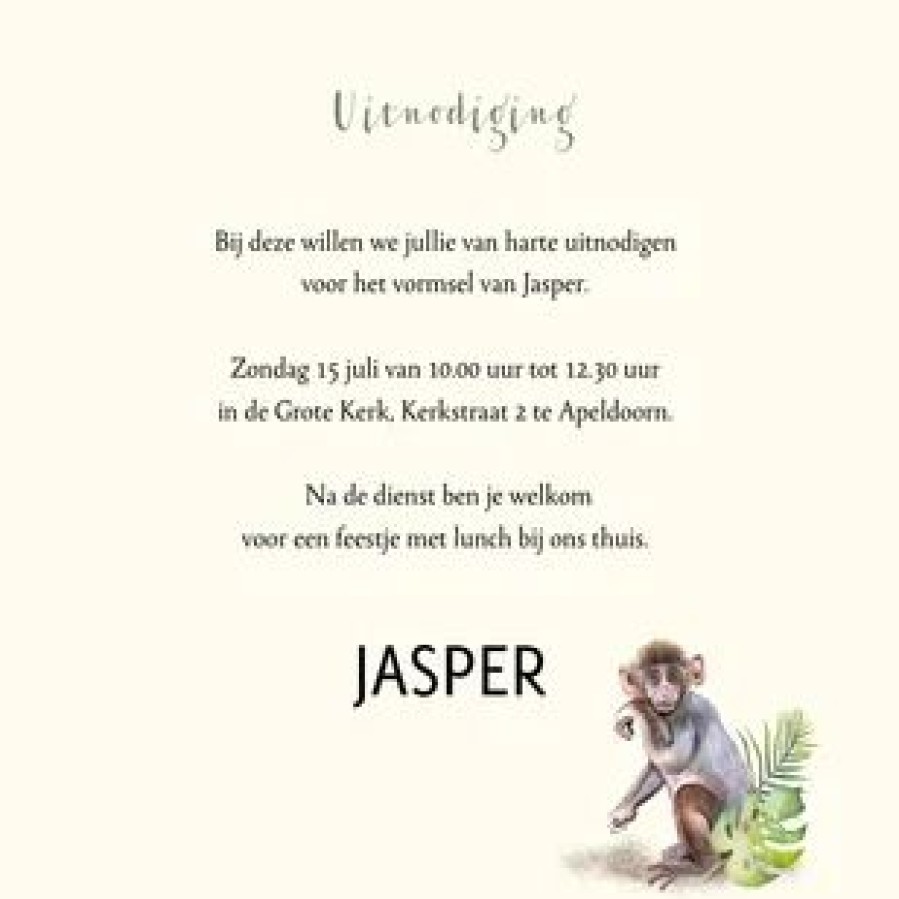 Communiekaarten | Kaarten Kaartje2go Vormsel Jungle Zebra