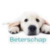 Beterschapskaarten | Kaarten Kaartje2go Kngf Geleidehond Beterschapkaart Een Opkikkertje Voor Jou