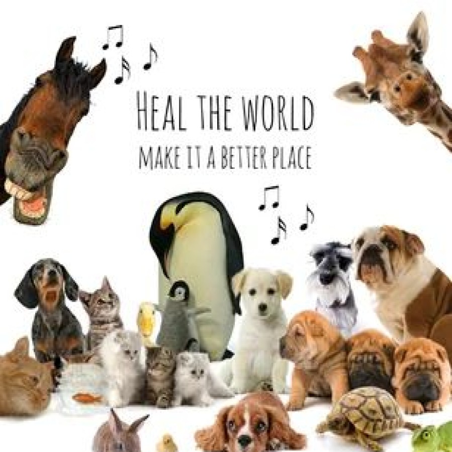 Beterschapskaarten | Kaarten Kaartje2go Beterschapskaart Heal The World Dieren