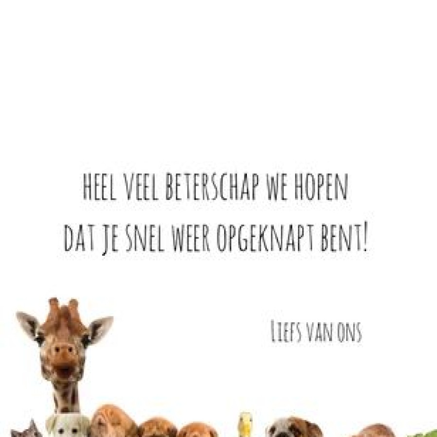 Beterschapskaarten | Kaarten Kaartje2go Beterschapskaart Heal The World Dieren