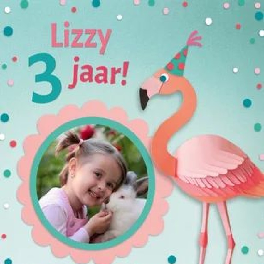 Kinderfeestjes | Kaarten Kaartje2go Flamingo Feestje