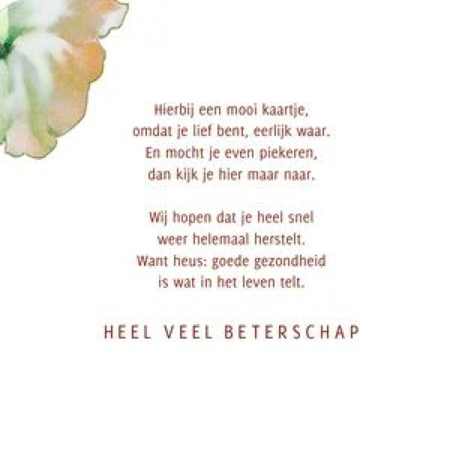 Beterschapskaarten | Kaarten Kaartje2go Beterschapkaart Kleurrijk Bouquet Vintage