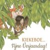 Verjaardagskaarten | Kaarten Kaartje2go Verjaardagskaart Kittens Zeggen Kiekekboe!