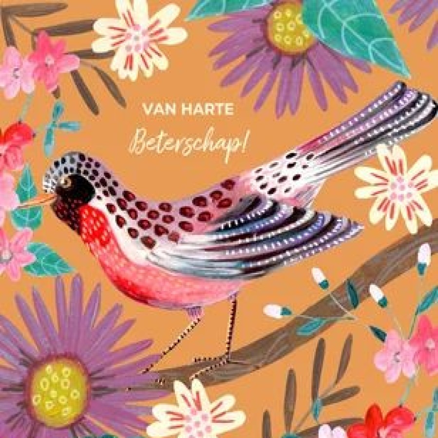 Beterschapskaarten | Kaarten Kaartje2go Beterschapskaart Vogel Met Bloemen Oranje