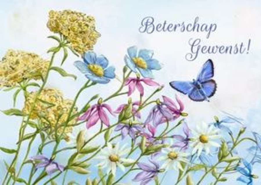 Beterschapskaarten | Kaarten Kaartje2go Liefdevolle Bloemenkaart Met Geschilderde Bloemen